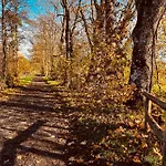 公寓 I Beck-braeu Nahe Bamberg Lisberg