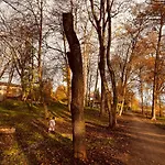 I Beck-braeu Nahe Bamberg *